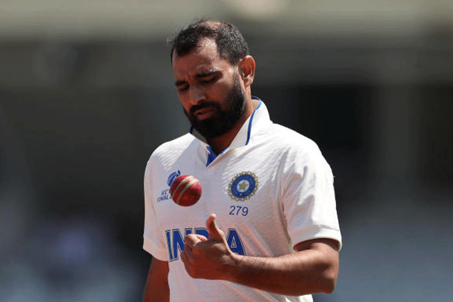 Mohammed Shami 3