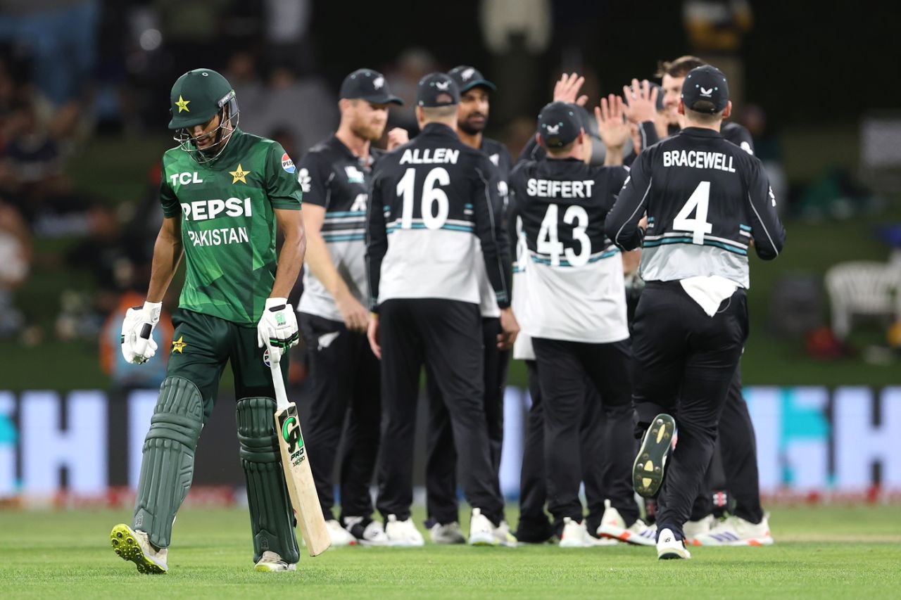 NZ Cricket 2