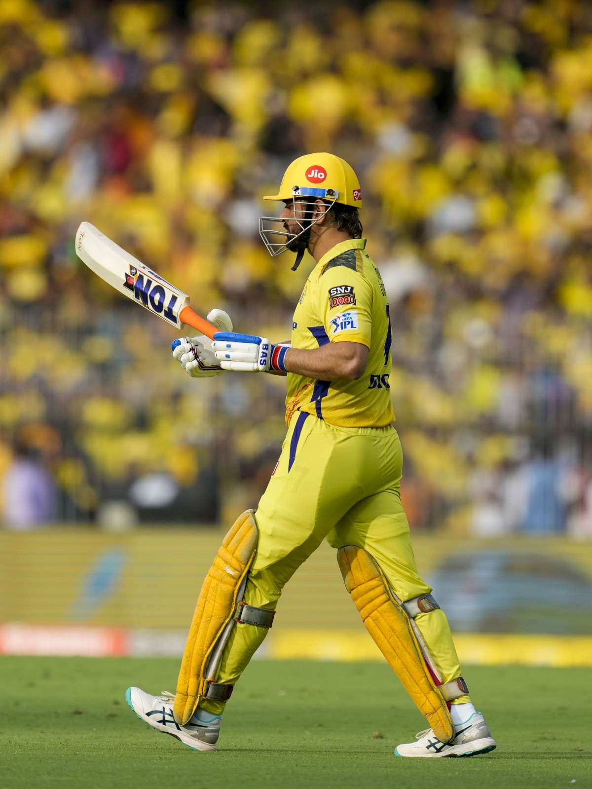Cover image for IPL इतिहास में नॉटआउट रहते हुए सबसे ज्यादा बार हार का सामना करने वाले खिलाड़ी