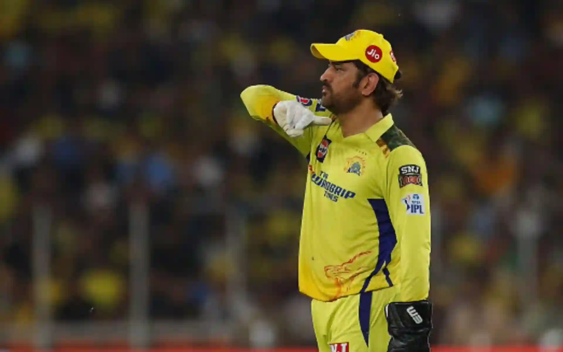 Cover image for IPL में सबसे ज्यादा स्टंपिंग करने वाले भारतीय विकेटकीपर 