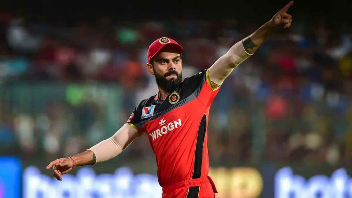 Cover image for IPL के एक Season में जीत में सबसे ज्यादा 50+ Scores