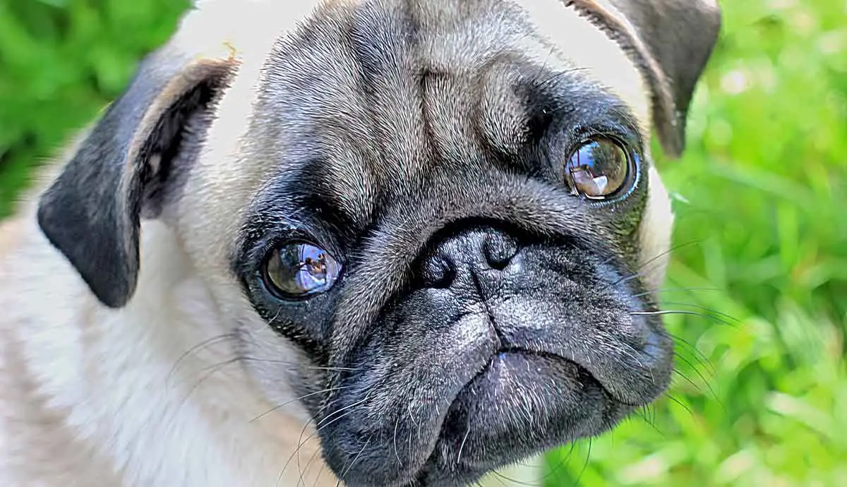Understanding Tears: The Science Behind Crying - english.punjabkesari.com