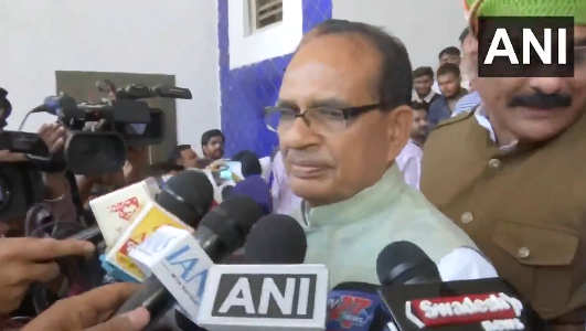 This budget is for Viksit Madhya Pradesh, to fulfil PM Modi's Viksit Bharat vision: Shivraj singh