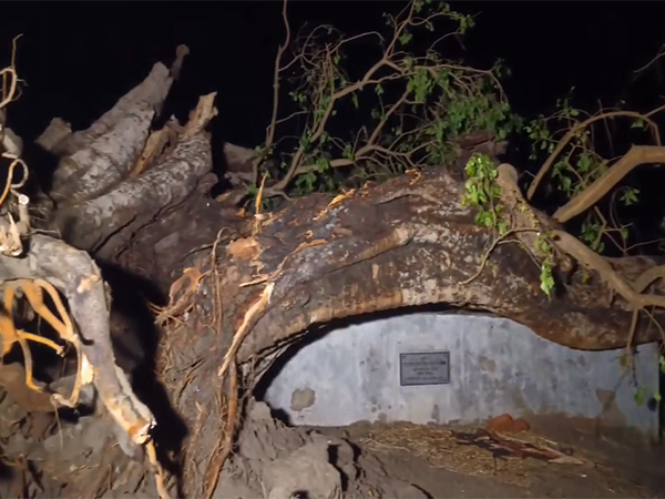 Bihar storm claims 22 lives, CM announces Rs 4 lakh compensation per family